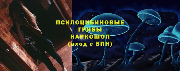 скорость Алзамай